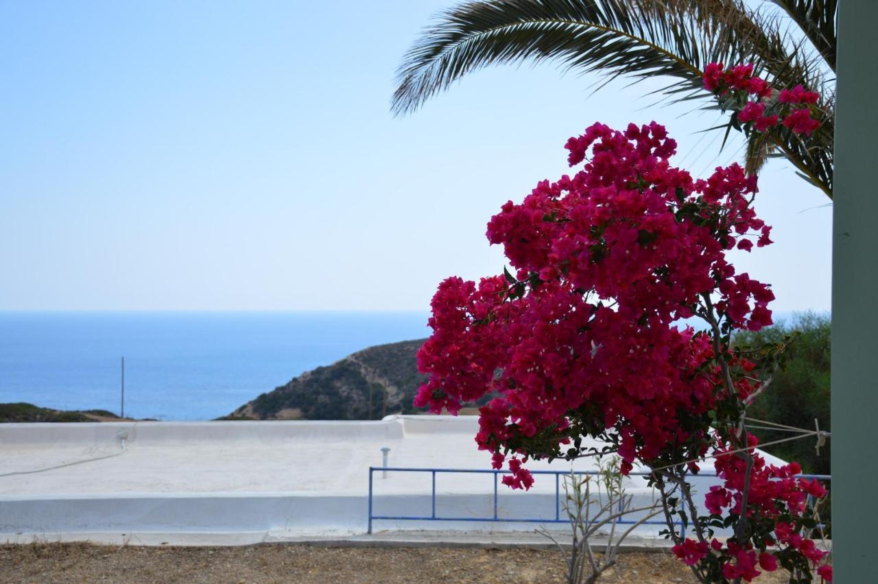 Maximos House Villa Provatas Dış mekan fotoğraf